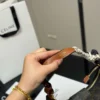 Celine Ava Hobo Bag