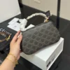 Celine Triomphe Leather Hobo Bag