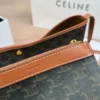 Celine Bag Style 0031