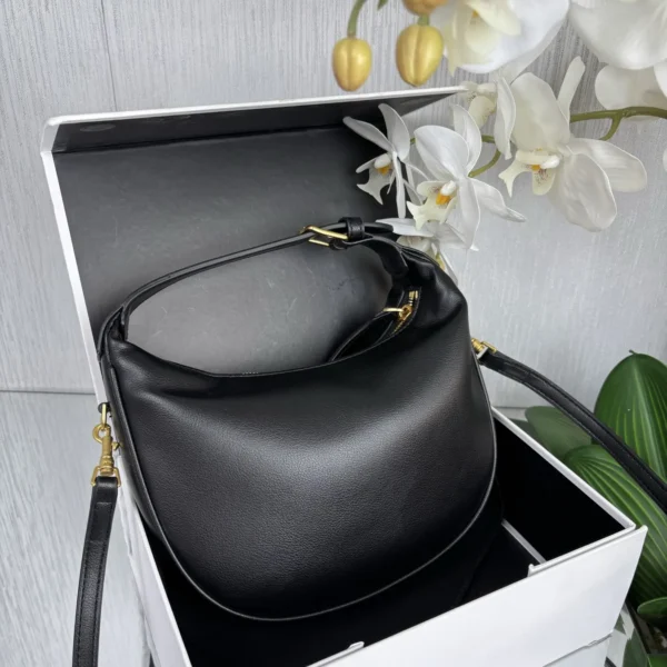 CELINE0056-01 Celine Crossbody Bag