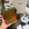 Celine Vanity Bag