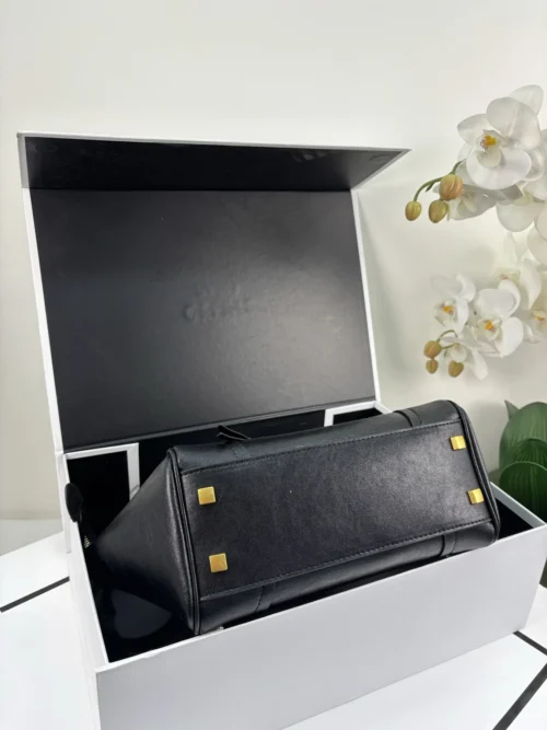 Celine Luggage Crossbody Bag