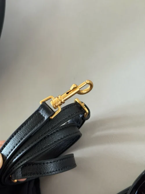 Celine Crossbody Bag Style 0123