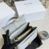 Celine Bag Style 0129