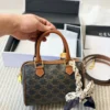 Celine Bag Style 0139