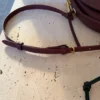 Celine Triomphe Small Calfskin Messenger Bag