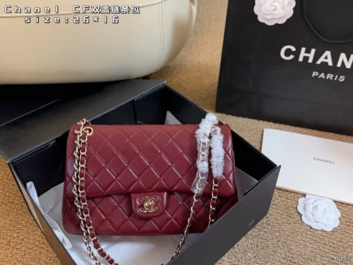 Chanel Chain Bag Style 0039