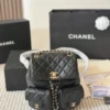 Chanel Duma Small Quilted Leather Bag