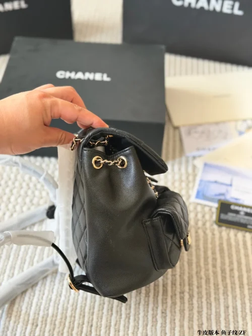 Chanel Duma Small Quilted Leather Bag