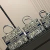 Dior Book Tote Tote Bag Style 0029