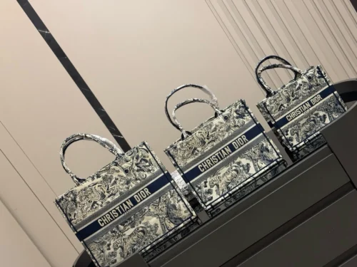 Dior Book Tote Tote Bag Style 0029
