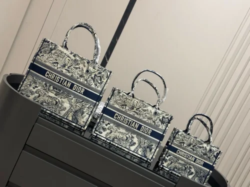 Dior Book Tote Tote Bag Style 0029