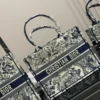 Dior Book Tote Tote Bag Style 0029