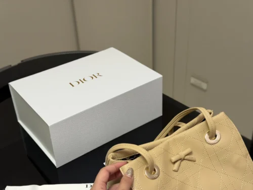 Dior Bag