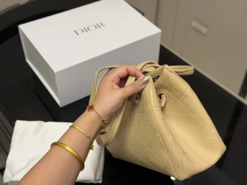 Dior Bag