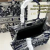 Dior Book Tote Embroidered Canvas Tote Bag