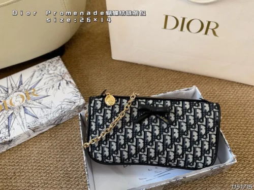 Dior Monogram Bag