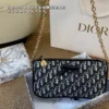 Dior Monogram Bag