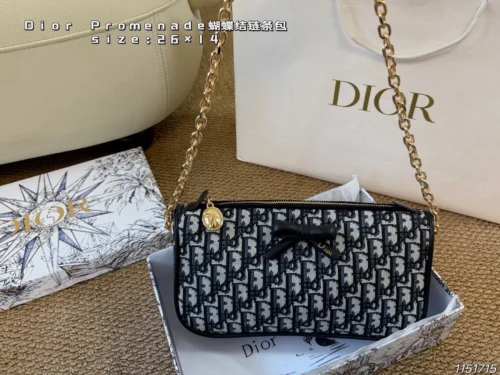 Dior Monogram Bag