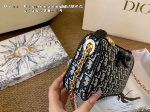 Dior Monogram Bag
