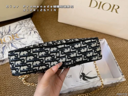 Dior Monogram Bag