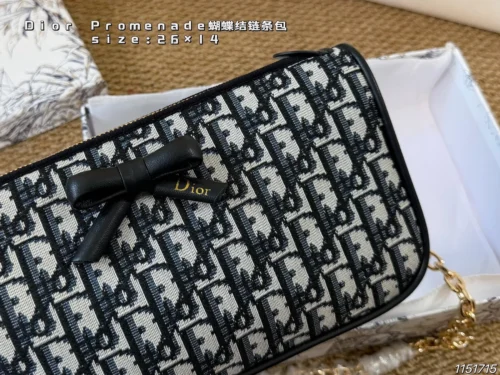 Dior Monogram Bag