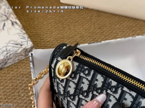 Dior Monogram Bag