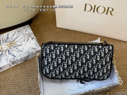 Dior Monogram Bag