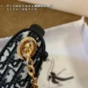 Dior Monogram Bag
