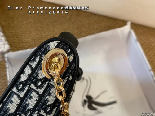 Dior Monogram Bag