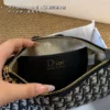 Dior Monogram Bag