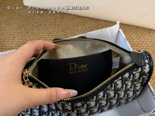Dior Monogram Bag