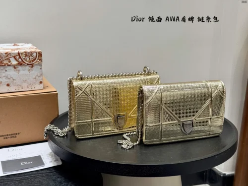 Dior Small Gold Chain Bag