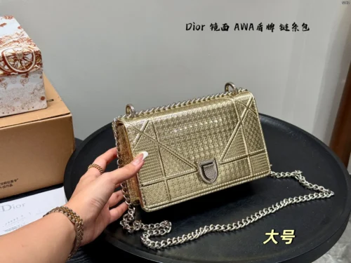 Dior Small Gold Chain Bag