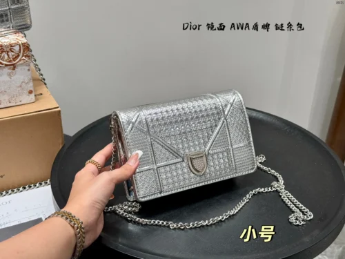 Dior Small Gold Chain Bag