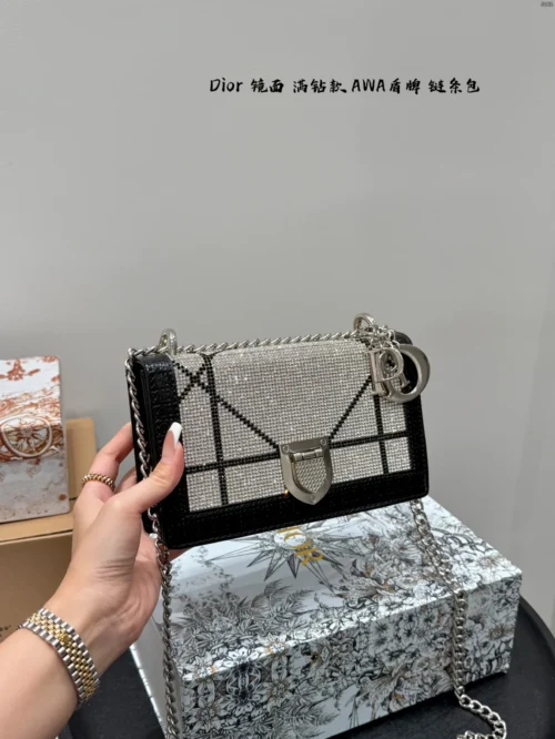 Dior Gold Chain Bag
