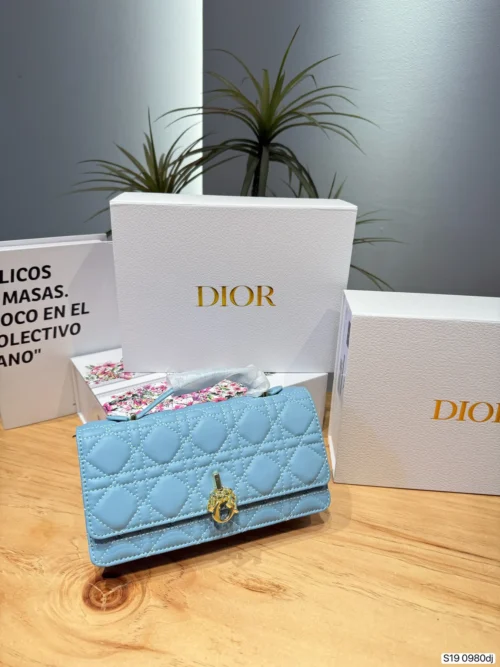 Dior Cannage Handbag