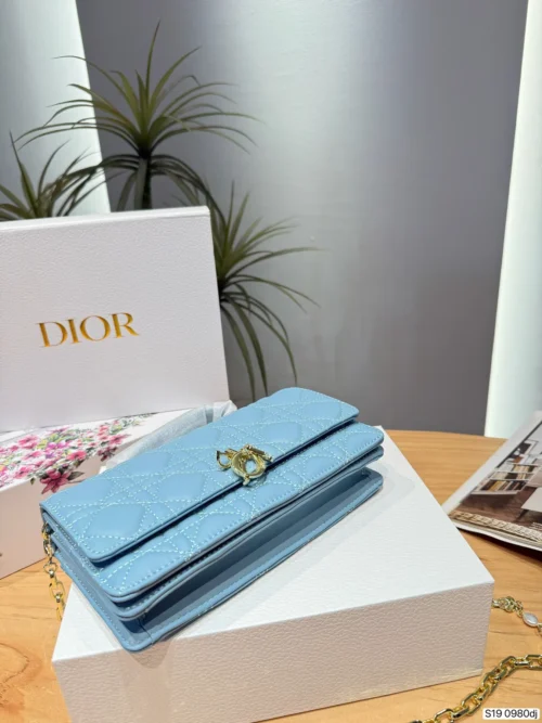 Dior Cannage Handbag