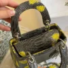 Dior Lady Dior Small Top Handle Bag