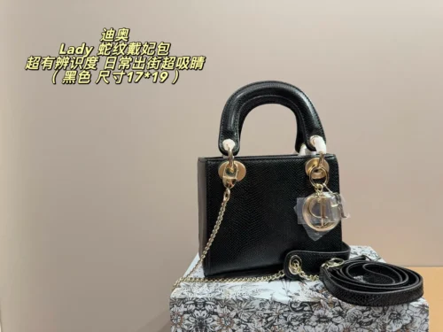 Dior Lady Dior Handbag Style 0079