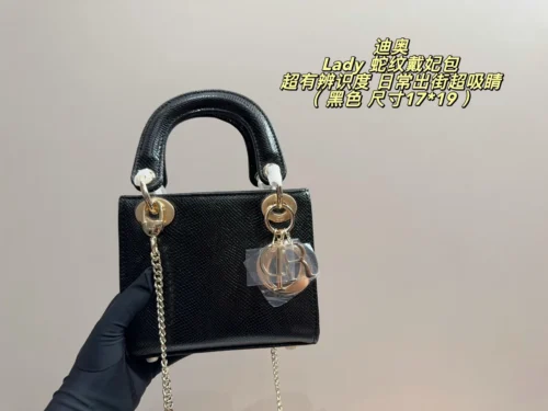 Dior Lady Dior Handbag Style 0079
