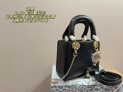 Dior Lady Dior Handbag Style 0079