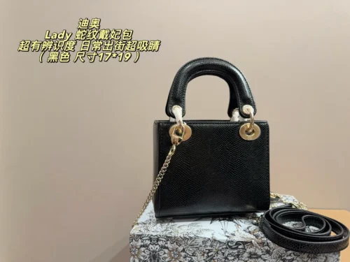 Dior Lady Dior Handbag Style 0079