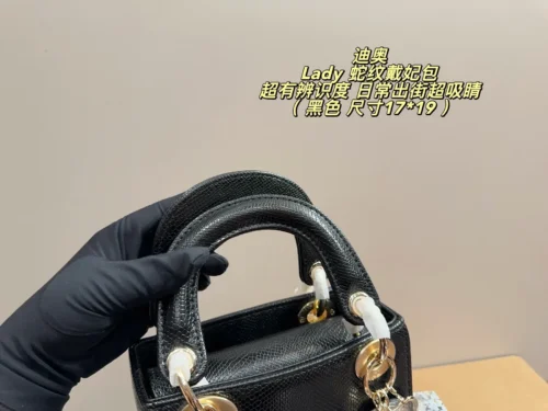Dior Lady Dior Handbag Style 0079
