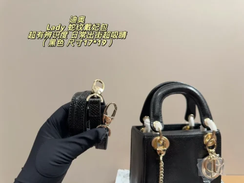 Dior Lady Dior Handbag Style 0079