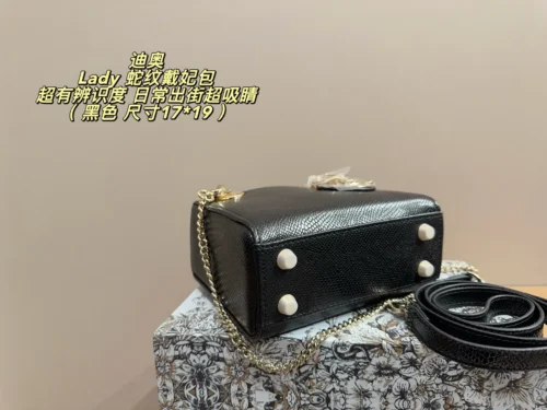 Dior Lady Dior Handbag Style 0079