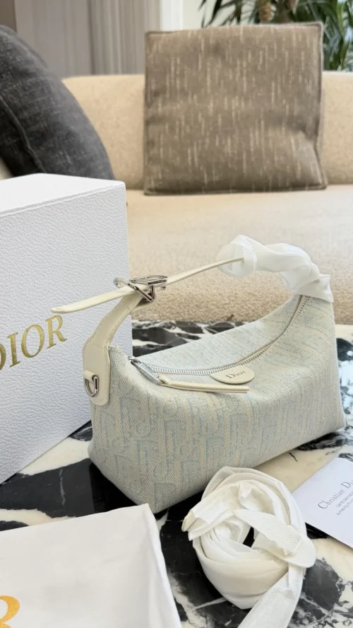 Dior Blue Monogram Bag
