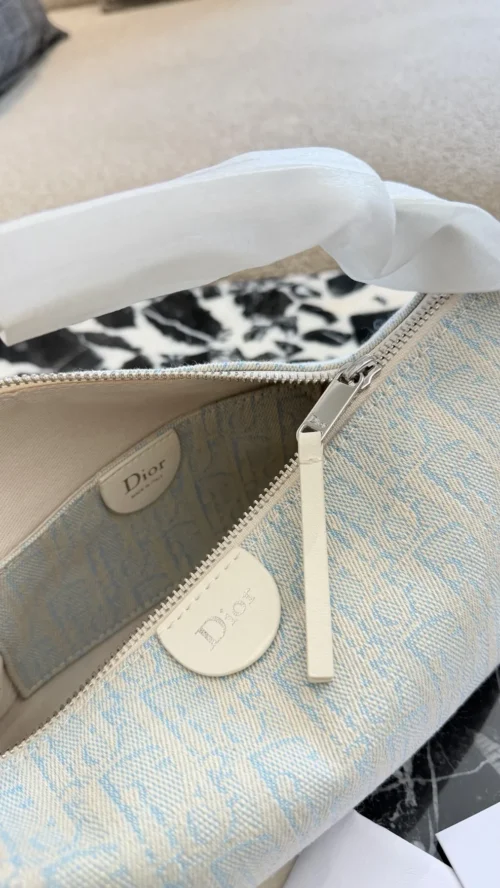 Dior Blue Monogram Bag