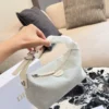 Dior Blue Monogram Bag