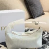 Dior Blue Monogram Bag